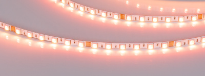 99182165ccdd6746f408de3a9ba71fd6